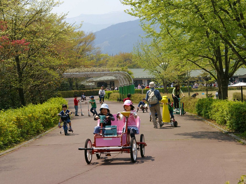 県 総合 運動 公園 自転車