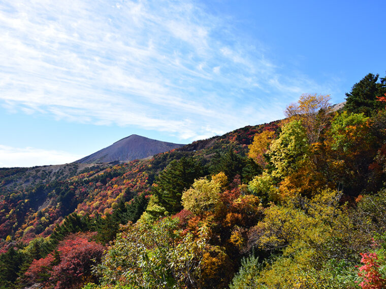 完全ガイド 22 磐梯吾妻スカイライン 紅葉情報 旬のおすすめ 福島市観光ノート