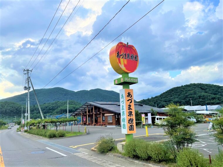 あづま果樹園 くだもの狩り 体験 ツアー 福島市観光ノート