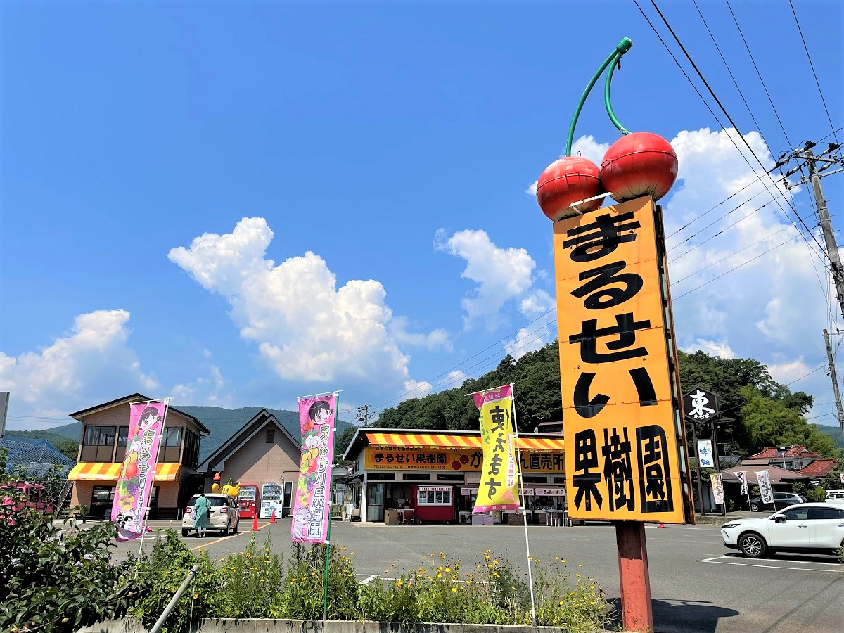 まるせい果樹園 体験 ツアー 福島市観光ノート