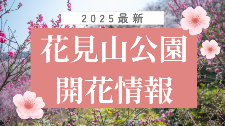 【2025年】花見山公園開花情報（3/22更新）