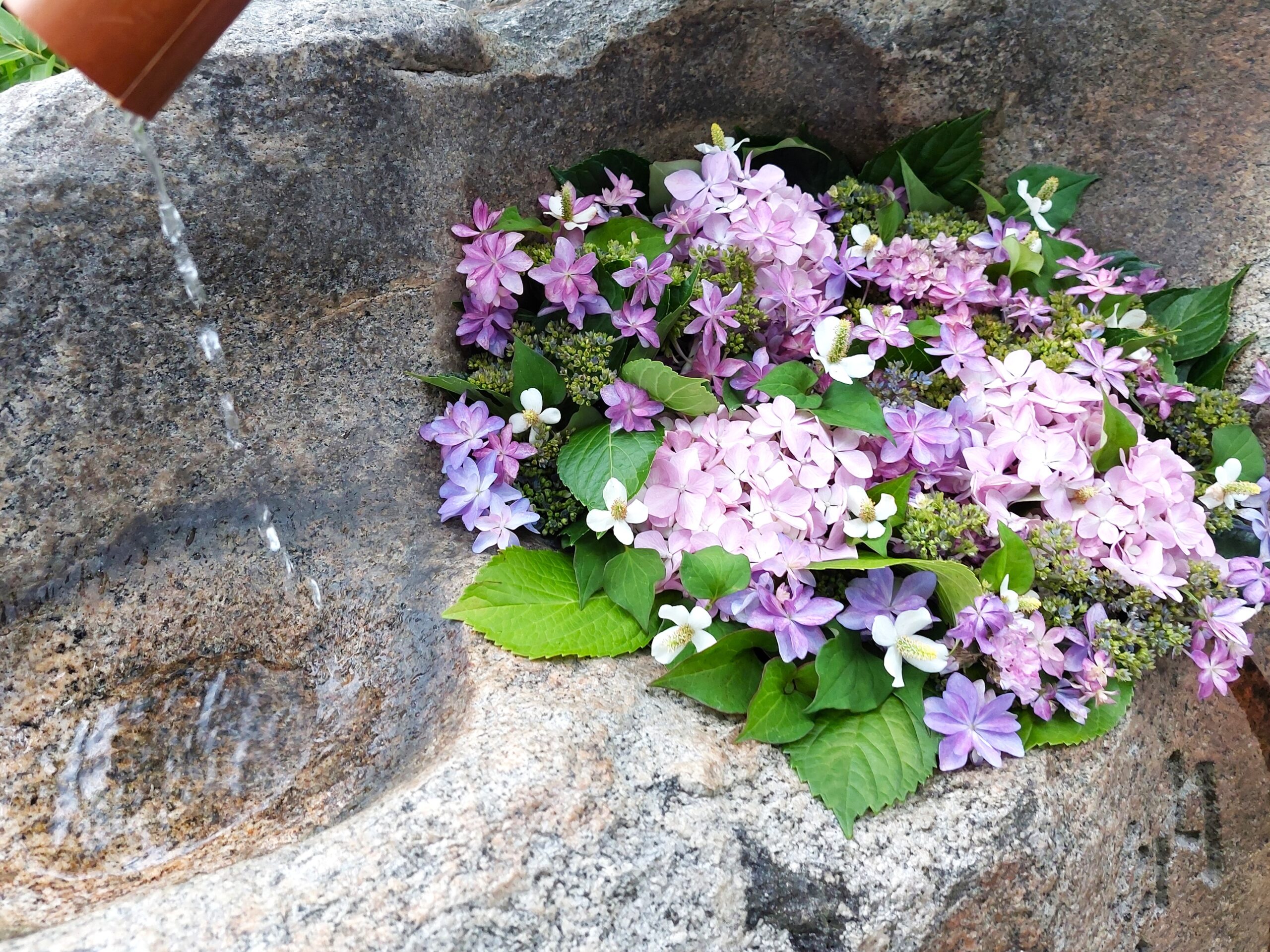 プロがいける花手水